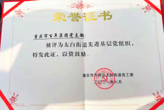 百年集團(tuán)黨支部回報(bào)社會(huì)，努力踐行社會(huì)責(zé)任與