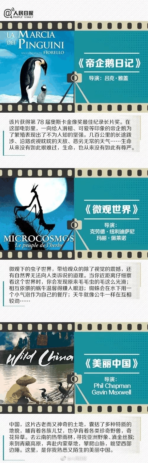 人民日報推薦！小長假陪孩子看這些紀錄片，勝過出門玩五天