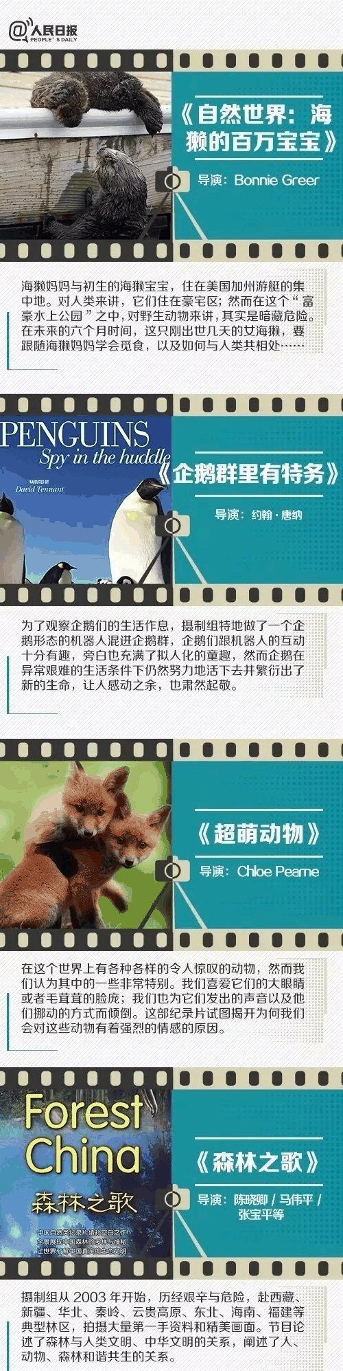 人民日報推薦！小長假陪孩子看這些紀錄片，勝過出門玩五天