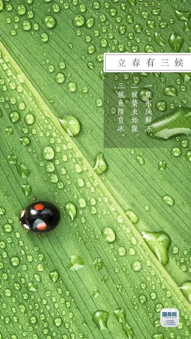 今日立春 | 在這里，邂逅最美春天……