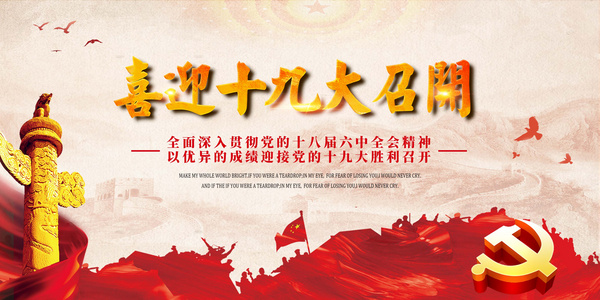 認(rèn)真貫徹落實(shí)黨的十九大精神 全面推動(dòng)黨建工作再上新臺(tái)