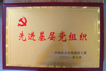 集團(tuán)黨支部回報社會，努力踐行社會責(zé)任與擔(dān)當(dāng)